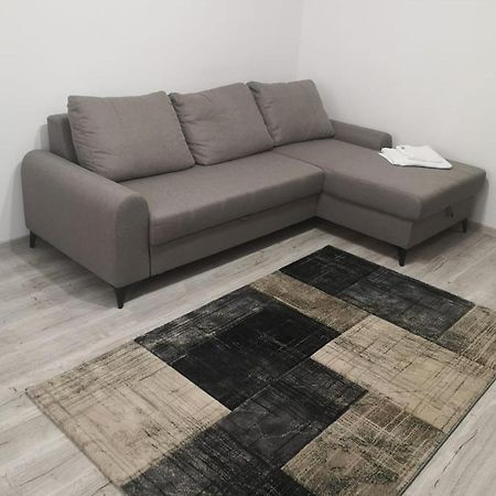 Apartament Cu Doua Camere Târgu Jiu エクステリア 写真