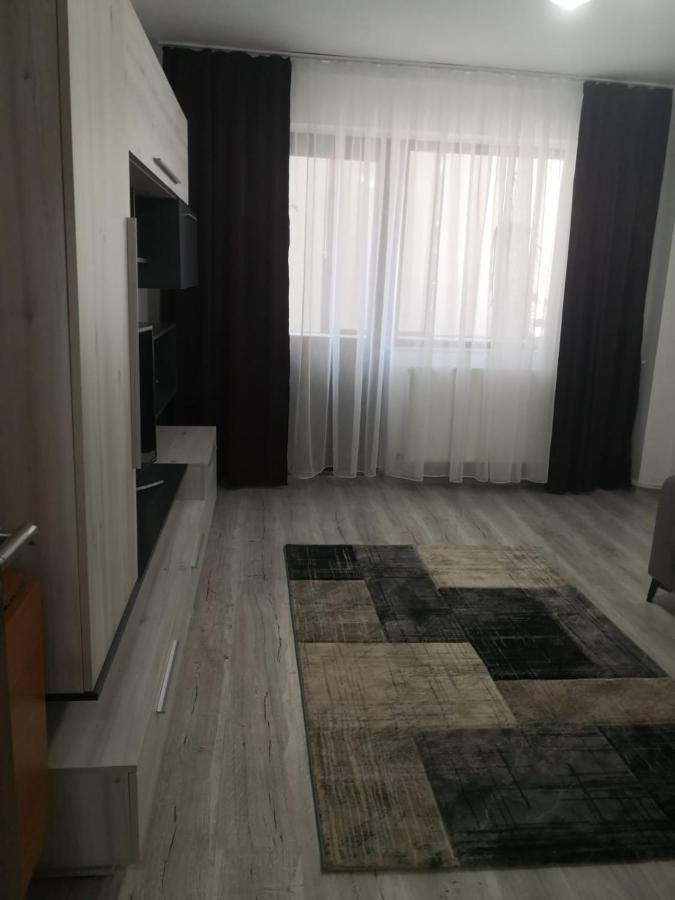 Apartament Cu Doua Camere Târgu Jiu エクステリア 写真