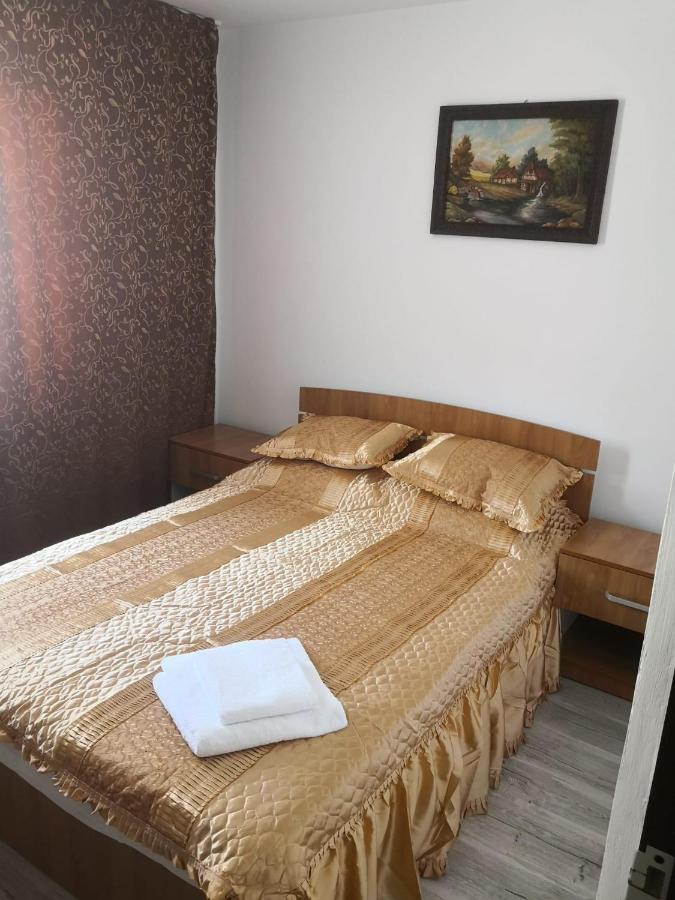 Apartament Cu Doua Camere Târgu Jiu エクステリア 写真