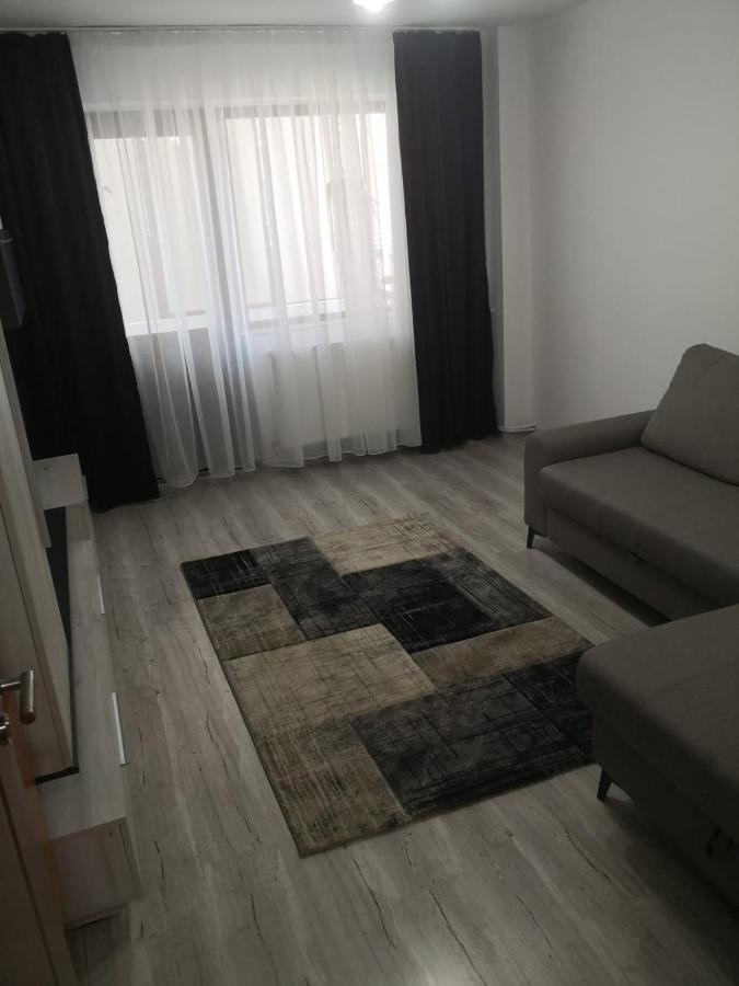 Apartament Cu Doua Camere Târgu Jiu エクステリア 写真